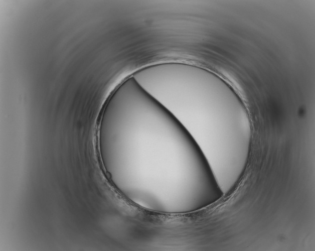 X0000091520899200708171007