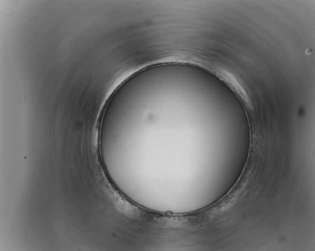 X0000091520900200708171007