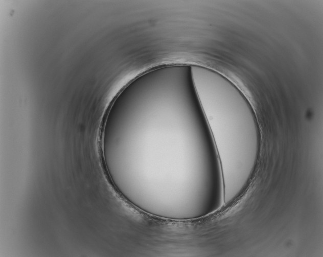 X0000091520901200708171007