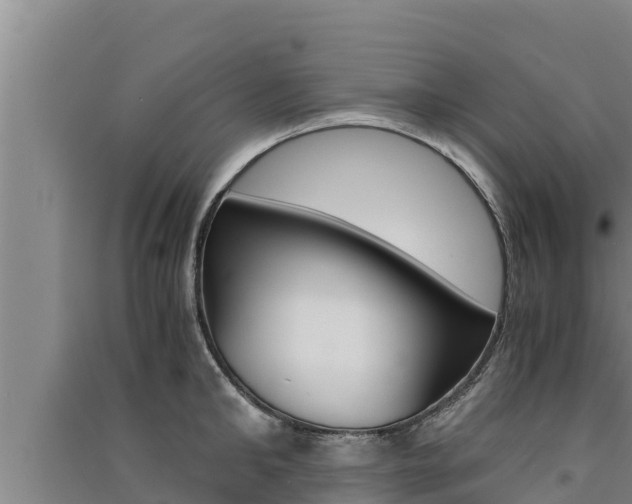X0000091520902200708171007