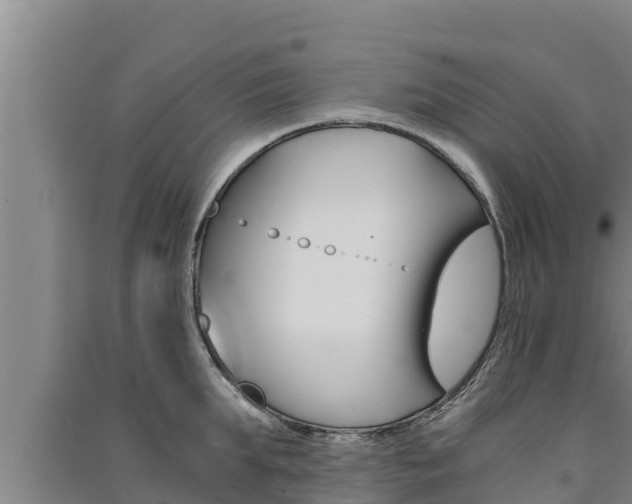 X0000091520903200708171007