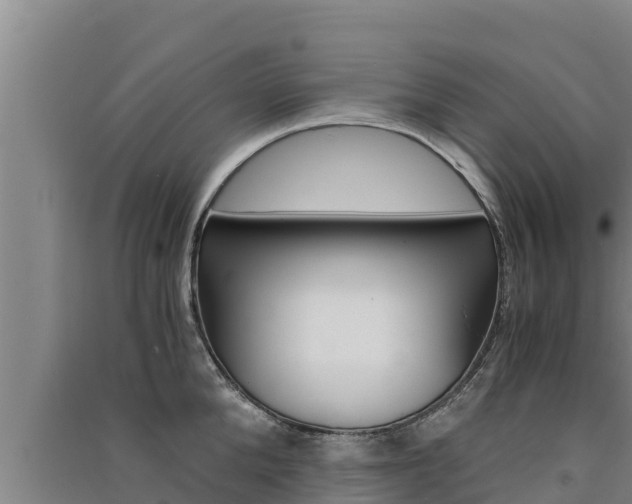 X0000091520904200708171007