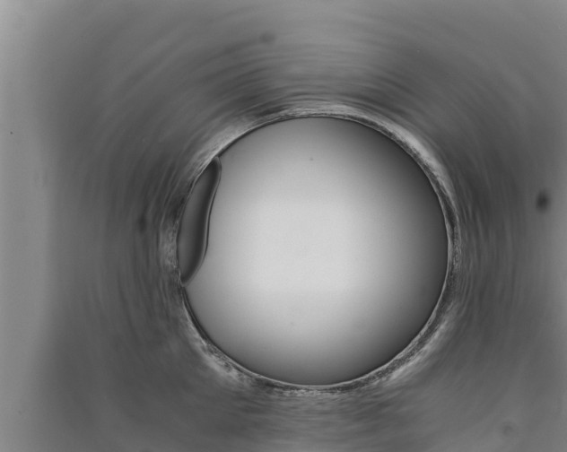 X0000091520905200708171007