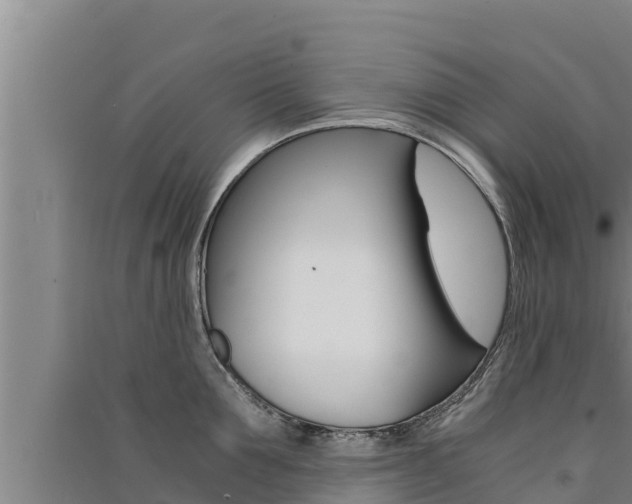 X0000091520907200708171007
