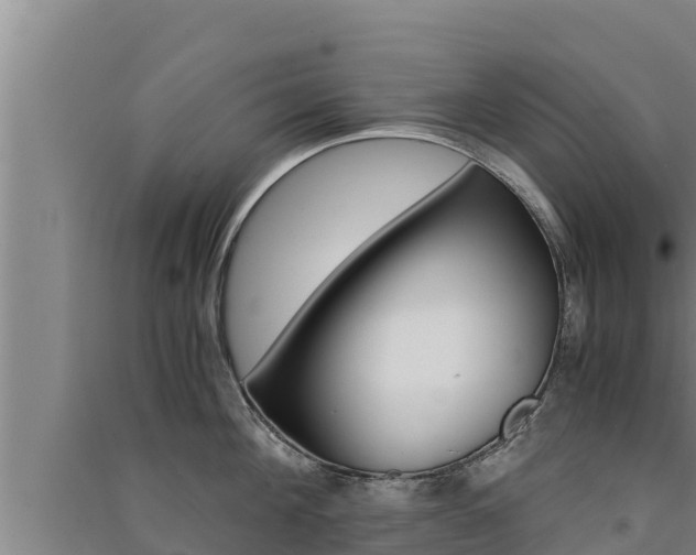 X0000091520908200708171007