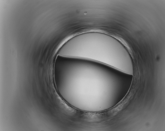 X0000091520910200708171007