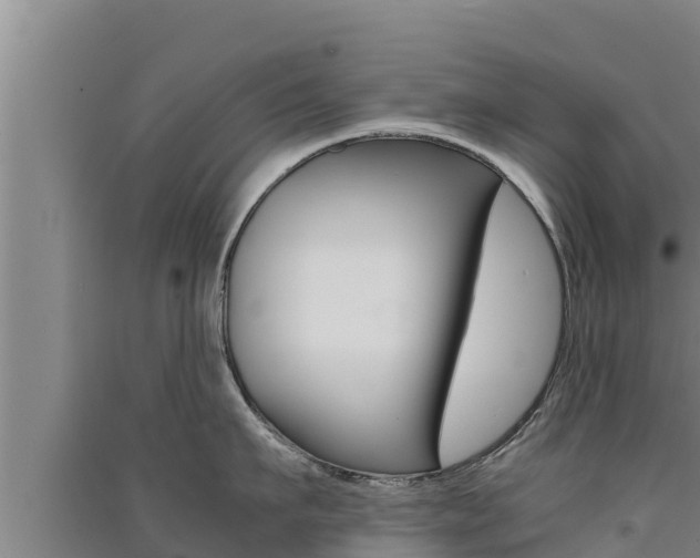 X0000091520911200708171007
