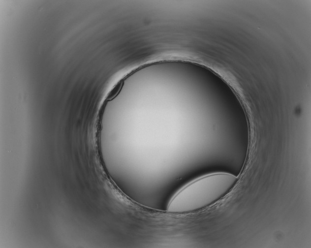 X0000091520912200708171007