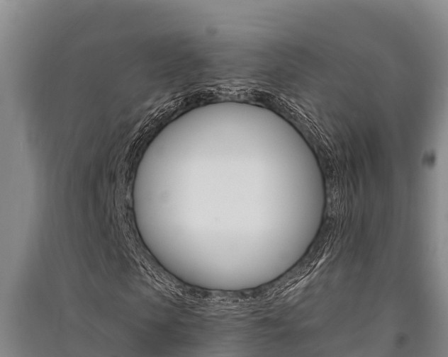 X0000091520913200708171006