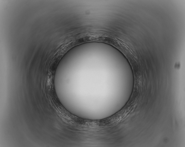 X0000091520914200708171006