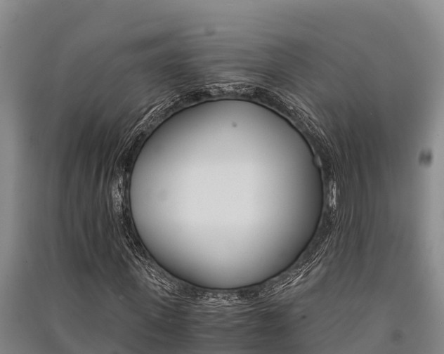 X0000091520915200708171006