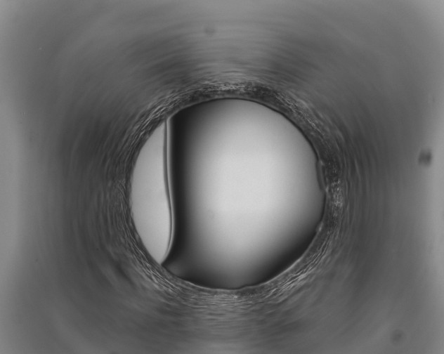 X0000091520916200708171006