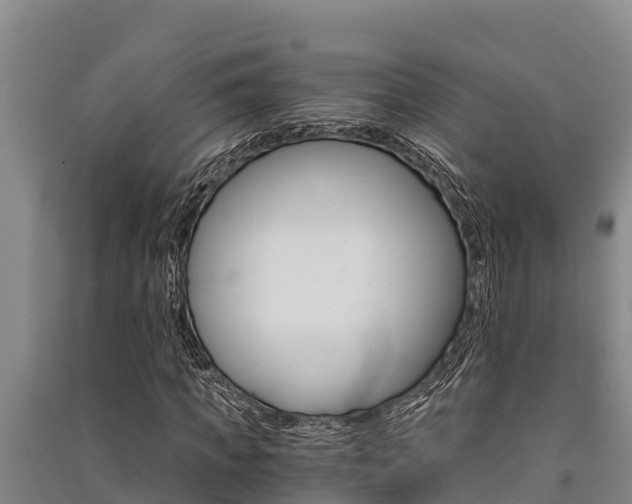 X0000091520917200708171006