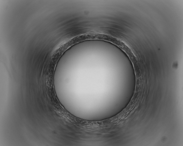 X0000091520919200708171007