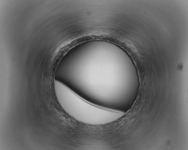 X0000091520920200708171007