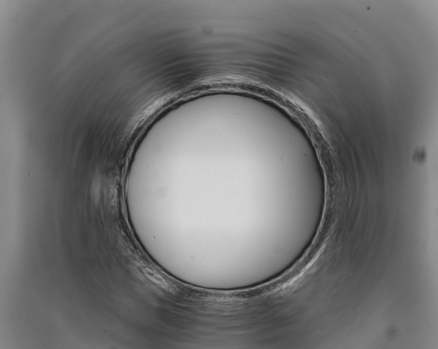 X0000091520921200708171007