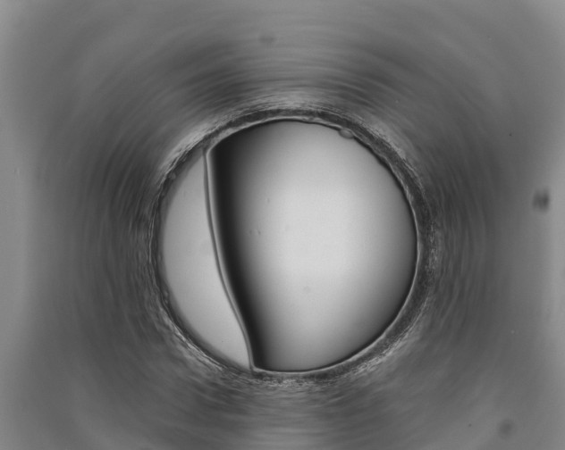 X0000091520922200708171007