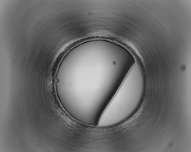 X0000091520923200708171007