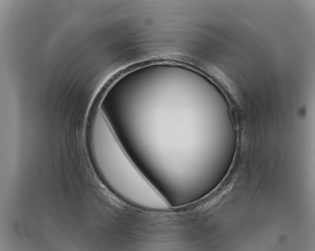 X0000091520924200708171007