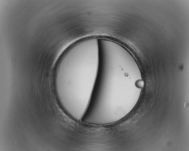 X0000091520926200708171007