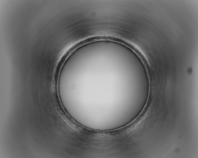 X0000091520927200708171007