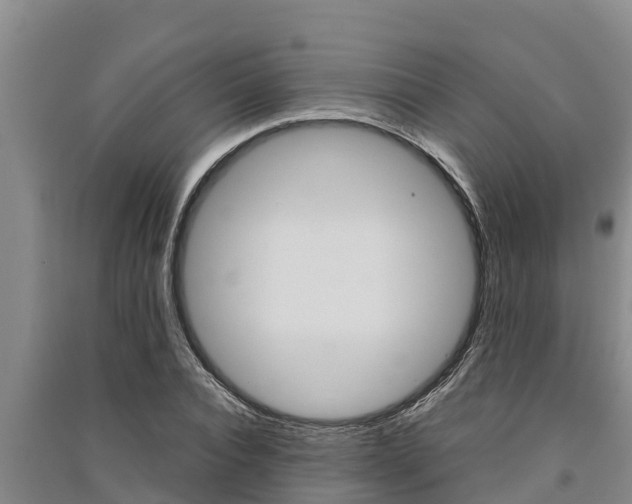 X0000091520928200708171007