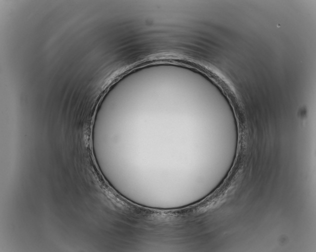X0000091520929200708171007