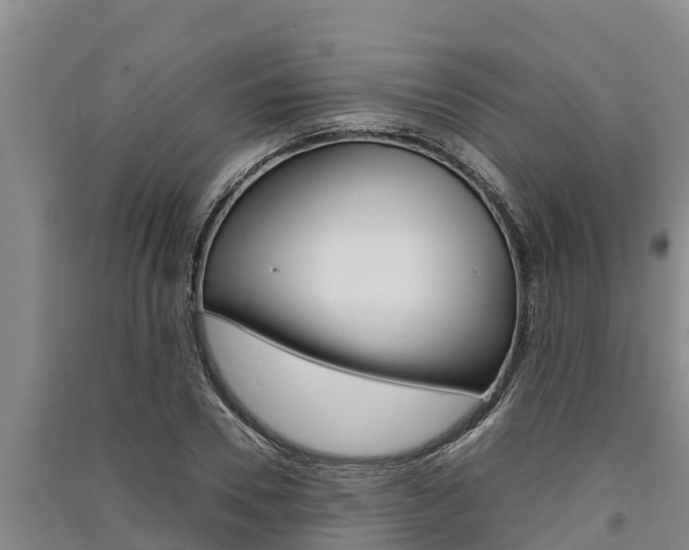 X0000091520930200708171007