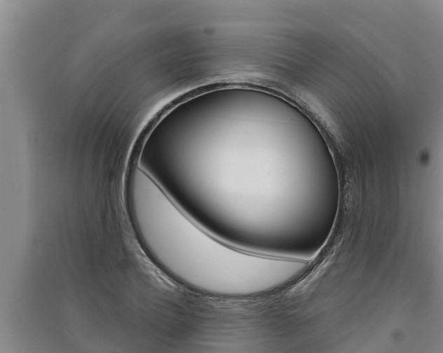 X0000091520932200708171007