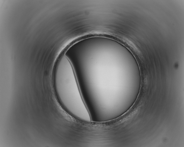 X0000091520934200708171007