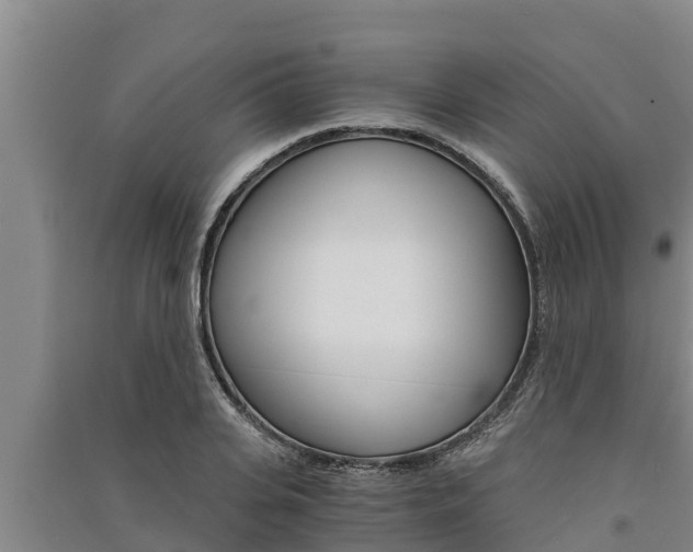 X0000091520935200708171007