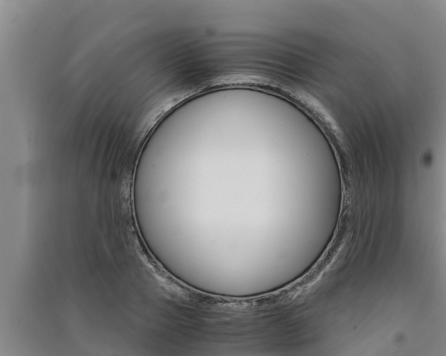X0000091520937200708171007