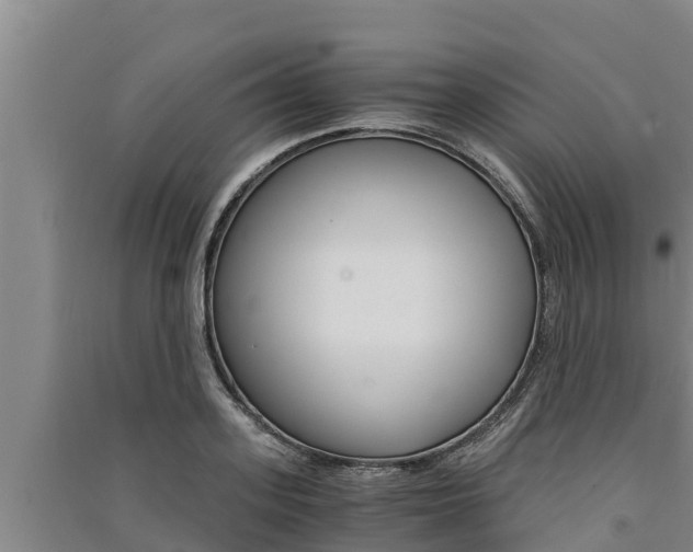 X0000091520939200708171007