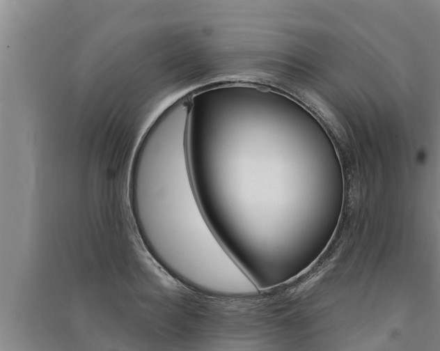 X0000091520940200708171007