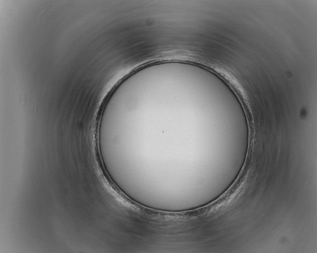 X0000091520941200708171007