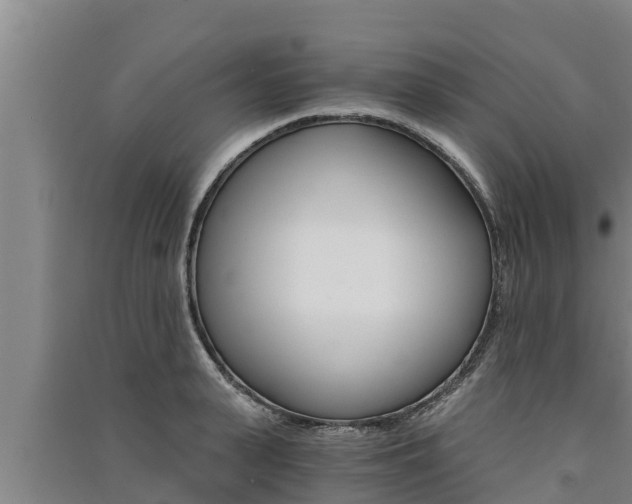 X0000091520943200708171007