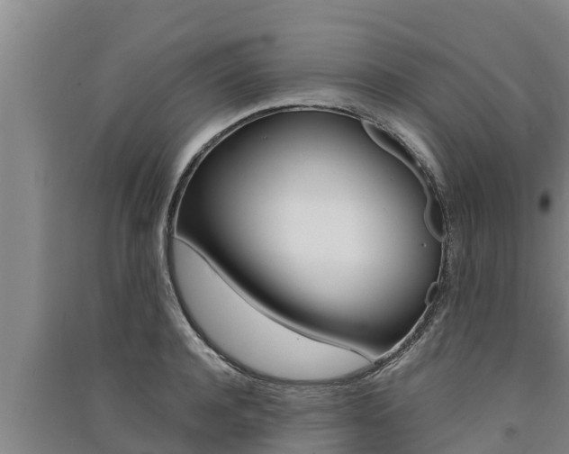 X0000091520944200708171007