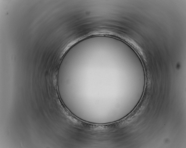 X0000091520945200708171007