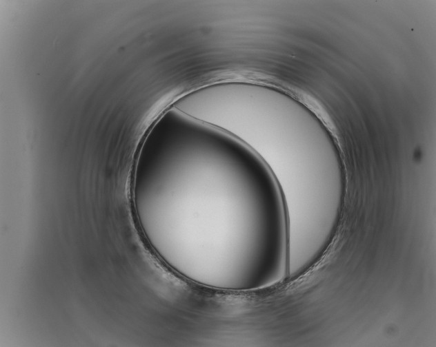 X0000091520946200708171007