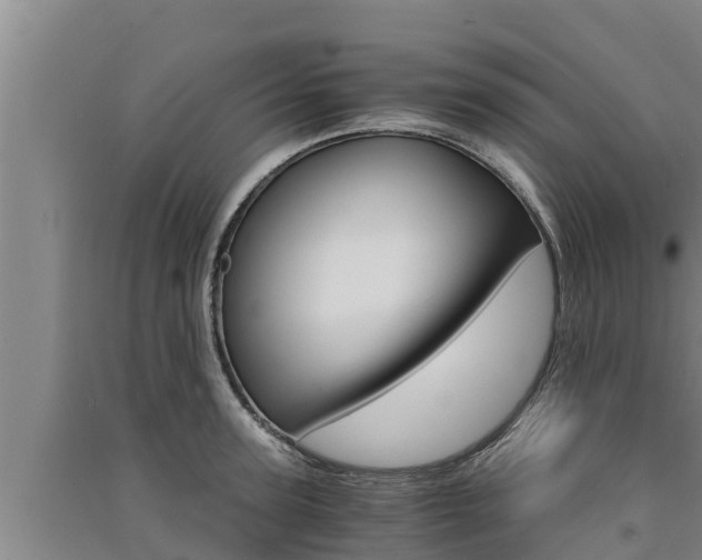 X0000091520947200708171007