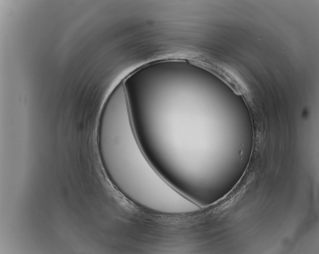 X0000091520948200708171007