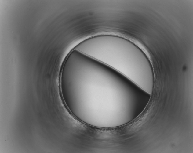 X0000091520951200708171007