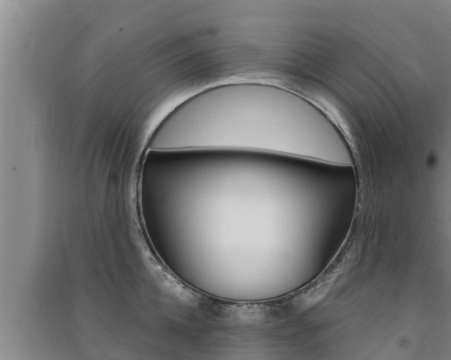 X0000091520952200708171007