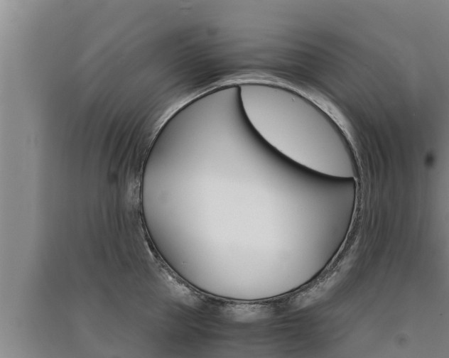 X0000091520953200708171007