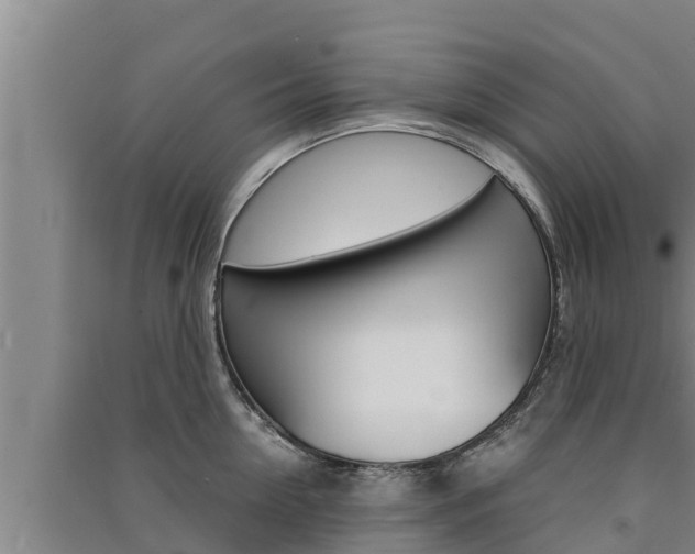 X0000091520954200708171007