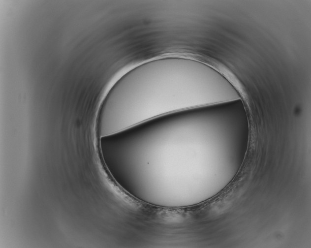 X0000091520955200708171007