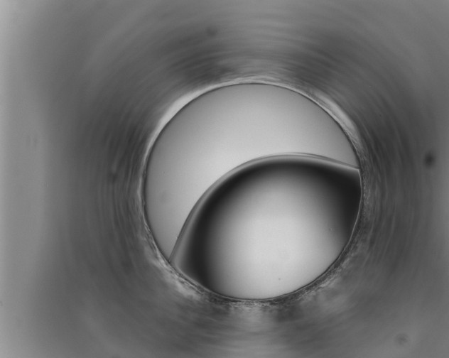 X0000091520956200708171007
