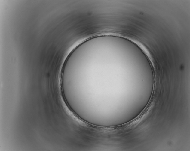 X0000091520957200708171007