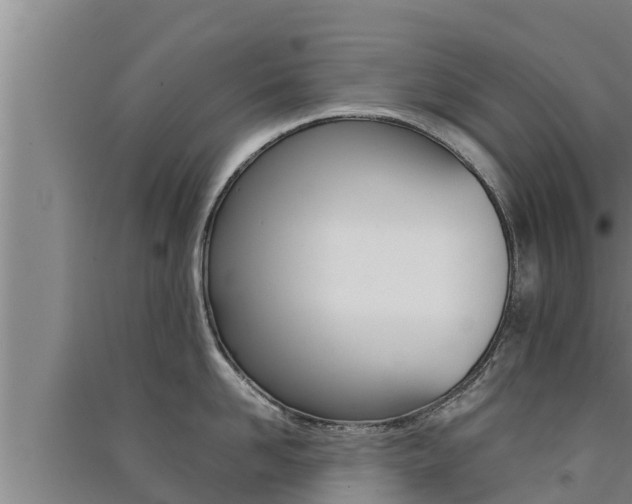 X0000091520958200708171007
