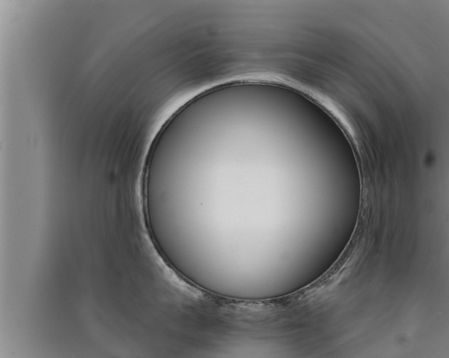 X0000091520959200708171007